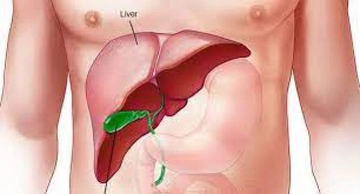 Karaciğer Hemanjiom Ameliyatı Riskleri ve Sonrası Karaciğer Hemanjiom Ameliyatı Riskleri ve Sonrası